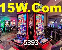 5393